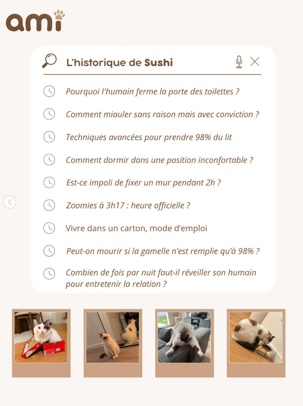 Publication humoristique : l'historique Google de Sushi le chat